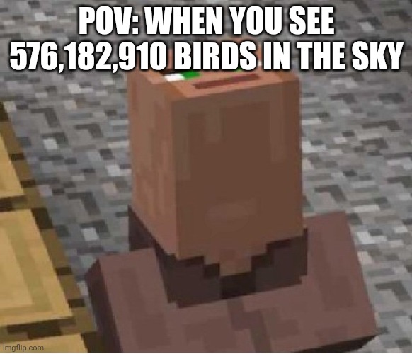 POV (99.9% of people can't find the hidden speech bubble) | POV: WHEN YOU SEE 576,182,910 BIRDS IN THE SKY | image tagged in minecraft villager looking up | made w/ Imgflip meme maker
