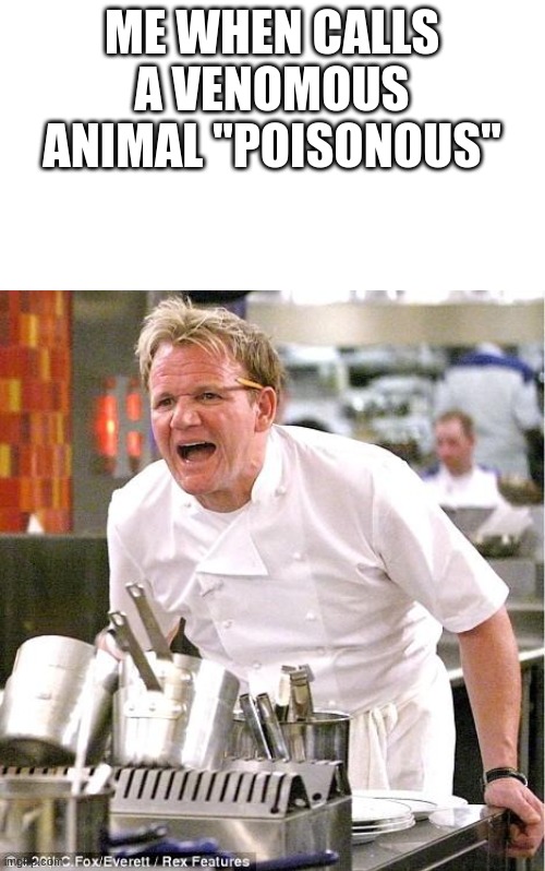 I hate it when people do this | ME WHEN CALLS A VENOMOUS ANIMAL "POISONOUS" | image tagged in memes,chef gordon ramsay | made w/ Imgflip meme maker