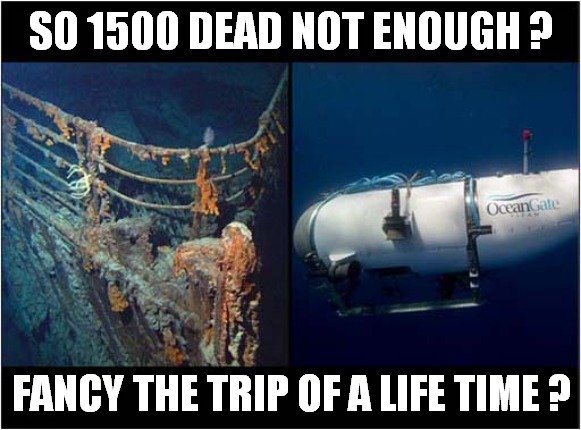 Five Tourists Go Down On The Titanic ! | SO 1500 DEAD NOT ENOUGH ? FANCY THE TRIP OF A LIFE TIME ? | image tagged in titanic,sinking,trip of a life time,dark humour | made w/ Imgflip meme maker