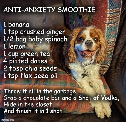 Anti-Anxiety Smoothie | image tagged in dog,anxiety,health food | made w/ Imgflip meme maker