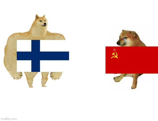 Winter war in a nutshell | image tagged in memes,buff doge vs cheems | made w/ Imgflip meme maker