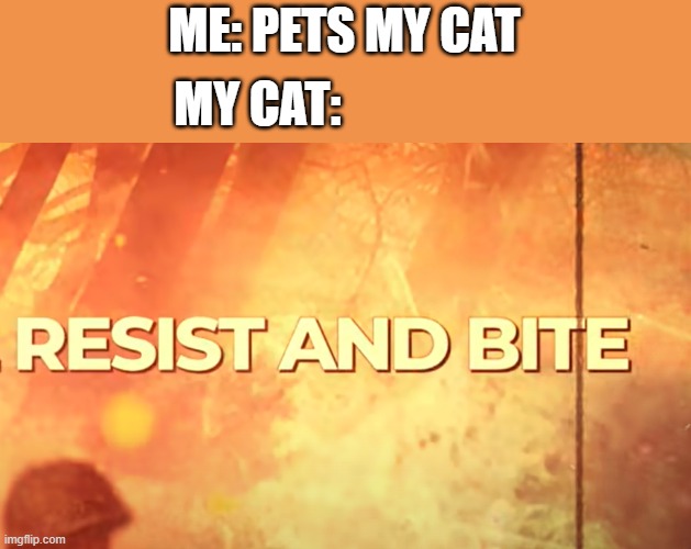 cat be like | ME: PETS MY CAT; MY CAT: | image tagged in resist and bite,sabaton,cats,cat | made w/ Imgflip meme maker