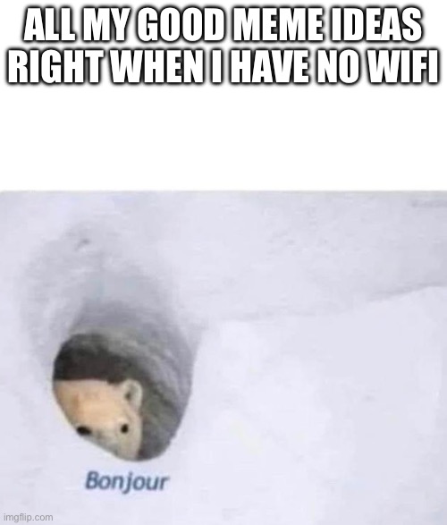 Bonjour | ALL MY GOOD MEME IDEAS RIGHT WHEN I HAVE NO WIFI | image tagged in bonjour | made w/ Imgflip meme maker