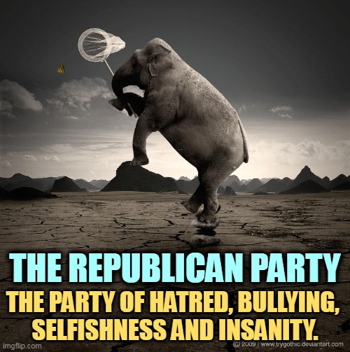 Add chaos and incompetence | THE REPUBLICAN PARTY; THE PARTY OF HATRED, BULLYING, 
SELFISHNESS AND INSANITY. | image tagged in crazy republican elephant with butterfly net,gop,hatred,bullying,selfishness,insanity | made w/ Imgflip meme maker