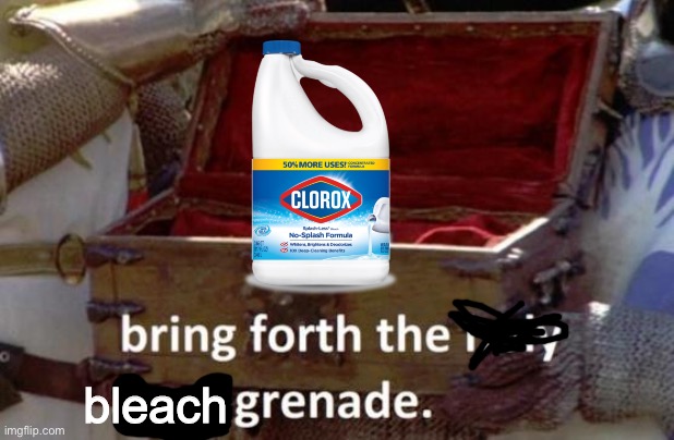 Next r34 post: | image tagged in bring forth the holy bleach grenade | made w/ Imgflip meme maker