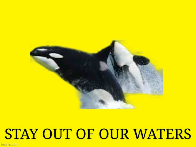 Yellow background | STAY OUT OF OUR WATERS | image tagged in yellow background,orca | made w/ Imgflip meme maker