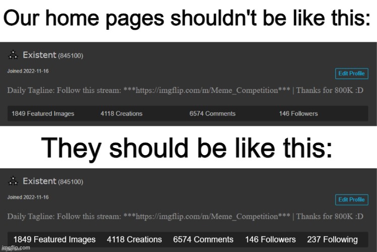 Being able to see how many people you're following could be nice, to match other social media platforms ^-^ | Our home pages shouldn't be like this:; They should be like this: | made w/ Imgflip meme maker