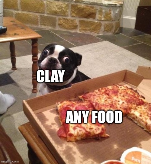 Hungry Pizza Dog | CLAY; ANY FOOD | image tagged in hungry pizza dog | made w/ Imgflip meme maker