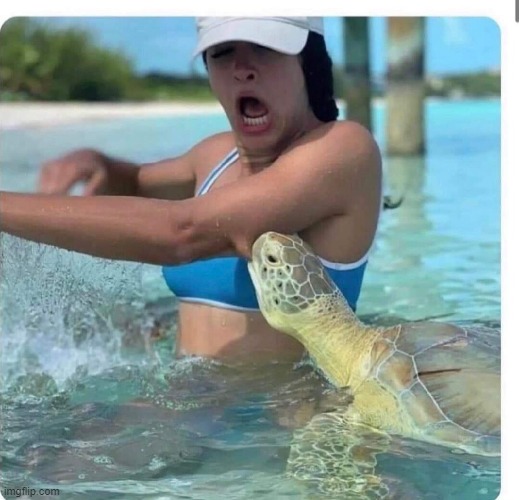 image tagged in horror | made w/ Imgflip meme maker