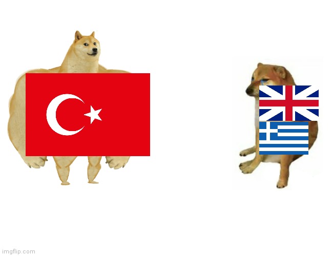 Gallipoli Campaign | image tagged in memes,buff doge vs cheems | made w/ Imgflip meme maker