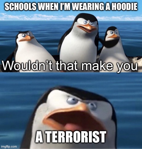 Wouldn’t that make you | SCHOOLS WHEN I’M WEARING A HOODIE; A TERRORIST | image tagged in wouldn t that make you | made w/ Imgflip meme maker