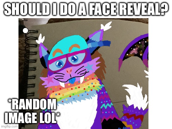 SHOULD I DO A FACE REVEAL? *RANDOM IMAGE LOL* | image tagged in blank white template | made w/ Imgflip meme maker