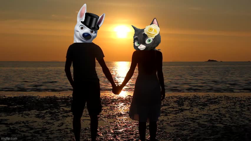 bolttens holding hands | image tagged in true love,disney,cats,dogs,bolt,romance | made w/ Imgflip meme maker