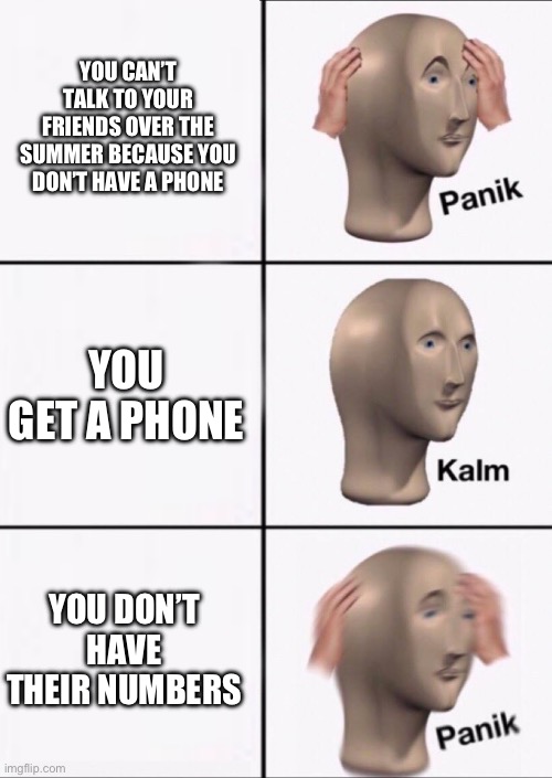 True story | YOU CAN’T TALK TO YOUR FRIENDS OVER THE SUMMER BECAUSE YOU DON’T HAVE A PHONE; YOU GET A PHONE; YOU DON’T HAVE THEIR NUMBERS | image tagged in stonks panic calm panic,funny,memes,summer,phone,if you read this tag you are cursed | made w/ Imgflip meme maker