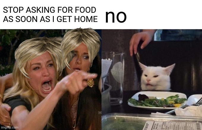 Woman Yelling At Cat Meme | STOP ASKING FOR FOOD AS SOON AS I GET HOME; no | image tagged in memes,woman yelling at cat | made w/ Imgflip meme maker