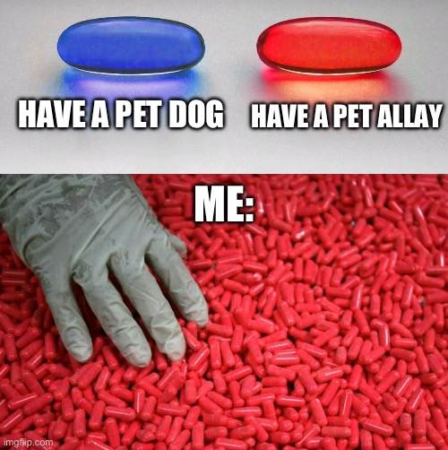 Blue or red pill | HAVE A PET DOG; HAVE A PET ALLAY; ME: | image tagged in blue or red pill | made w/ Imgflip meme maker