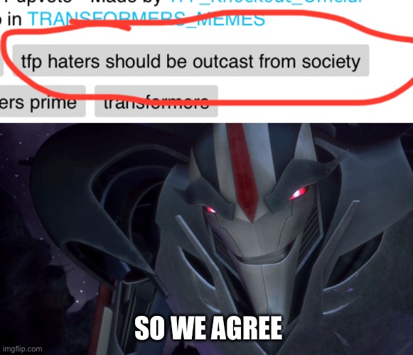 SO WE AGREE | image tagged in evil starscream | made w/ Imgflip meme maker
