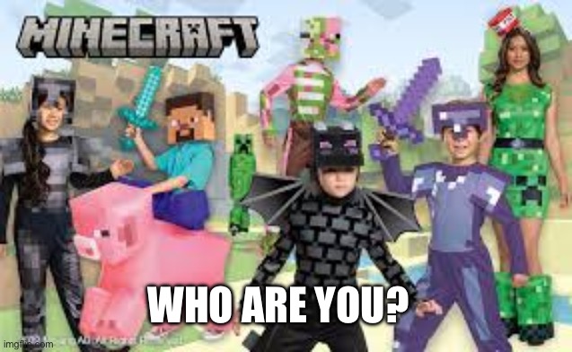 Cursed Minecraft | WHO ARE YOU? | image tagged in cursed minecraft | made w/ Imgflip meme maker