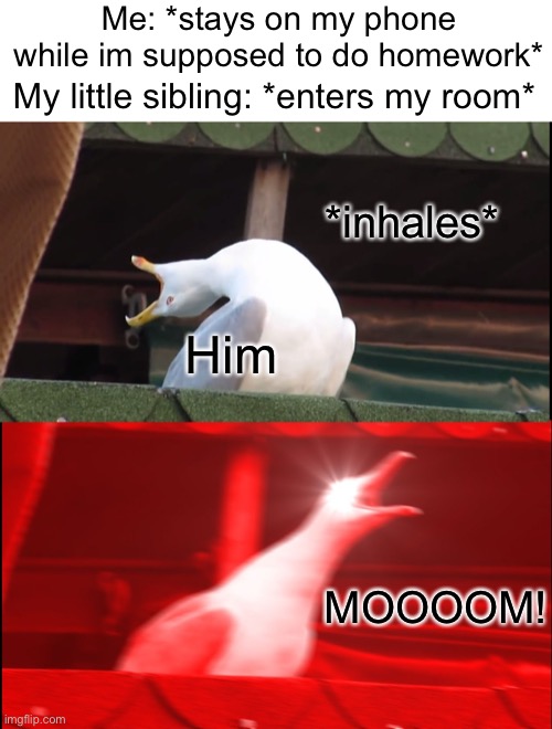 MOOOOOM! | Me: *stays on my phone while im supposed to do homework*; My little sibling: *enters my room*; *inhales*; Him; MOOOOM! | image tagged in screaming bird,memes,funny,sad but true,relatable,fastest thing possible | made w/ Imgflip meme maker