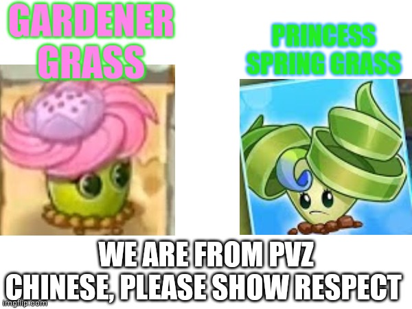 Pvz Chinese edition | GARDENER GRASS; PRINCESS SPRING GRASS; WE ARE FROM PVZ CHINESE, PLEASE SHOW RESPECT | image tagged in pvz,memes,chinese | made w/ Imgflip meme maker