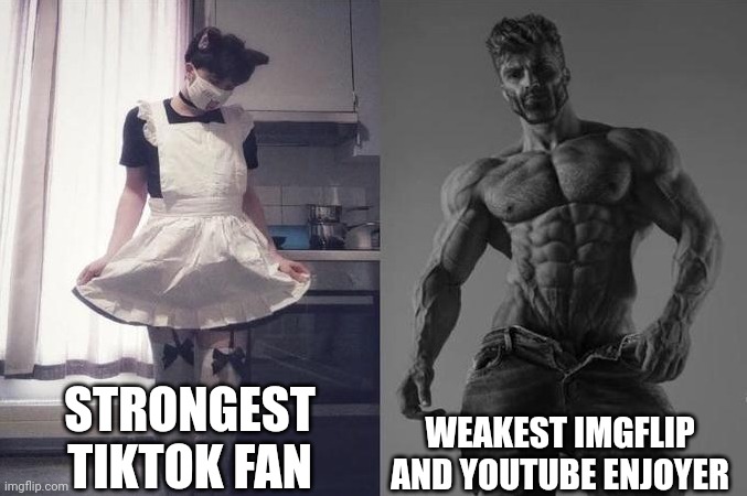 Strongest Fan VS Weakest Fan | STRONGEST TIKTOK FAN; WEAKEST IMGFLIP AND YOUTUBE ENJOYER | image tagged in strongest fan vs weakest fan | made w/ Imgflip meme maker