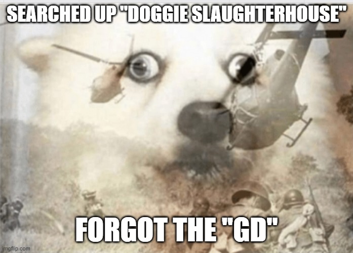 PTSD dog | SEARCHED UP "DOGGIE SLAUGHTERHOUSE"; FORGOT THE "GD" | image tagged in ptsd dog | made w/ Imgflip meme maker