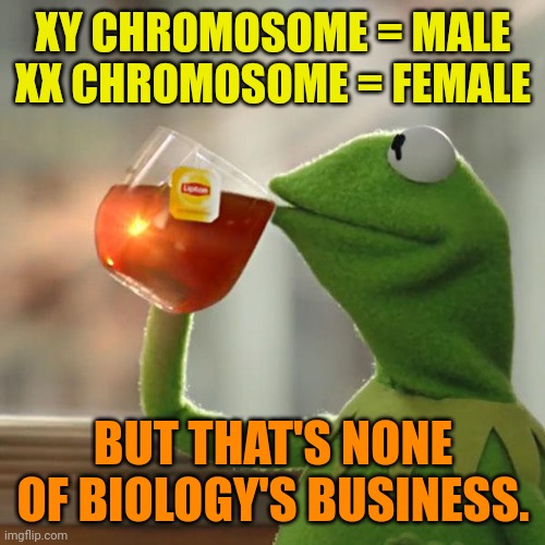 Science | XY CHROMOSOME = MALE
XX CHROMOSOME = FEMALE; BUT THAT'S NONE OF BIOLOGY'S BUSINESS. | image tagged in memes,but that's none of my business,kermit the frog | made w/ Imgflip meme maker