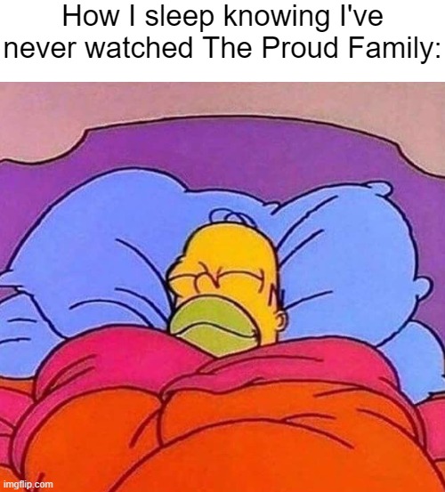 goofy ahh show ngl ☠️☠️☠️ | How I sleep knowing I've never watched The Proud Family: | image tagged in homer simpson sleeping peacefully,memes | made w/ Imgflip meme maker