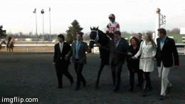 We Miss Artie enters the Winners' Circle | image tagged in gifs,we miss artie,spiral 2014,kentucky derby 2014 | made w/ Imgflip video-to-gif maker