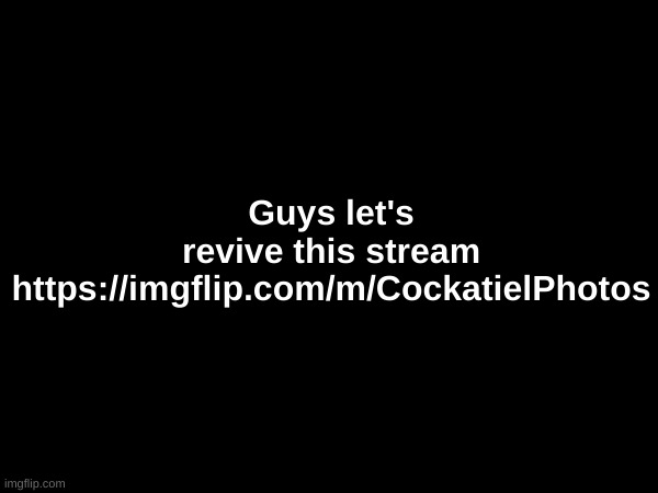 Guys let's revive this stream https://imgflip.com/m/CockatielPhotos | made w/ Imgflip meme maker