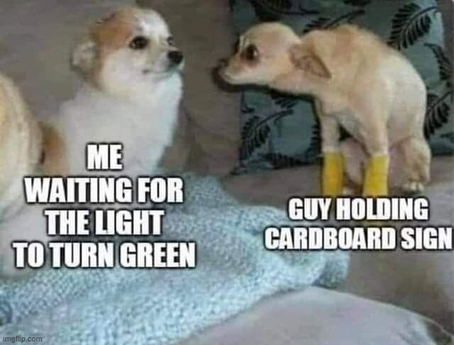 image tagged in memes | made w/ Imgflip meme maker