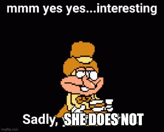 no | SHE DOES NOT | image tagged in no | made w/ Imgflip meme maker