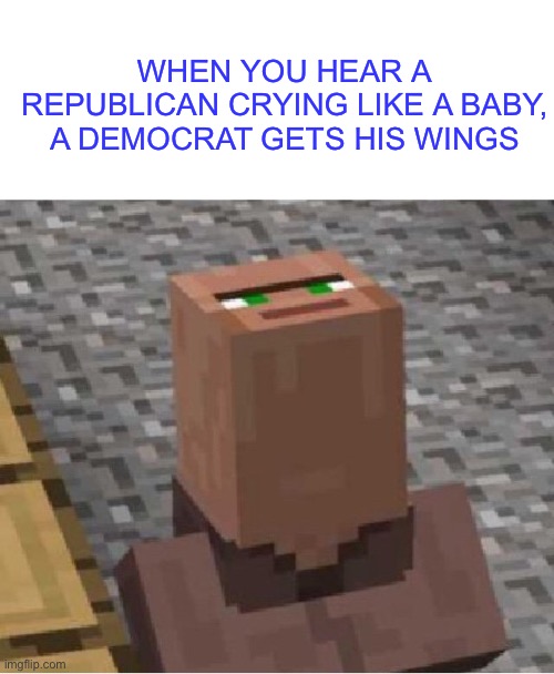 Achievement unlocked | WHEN YOU HEAR A REPUBLICAN CRYING LIKE A BABY, A DEMOCRAT GETS HIS WINGS | image tagged in blank white template,minecraft villager looking up,memes | made w/ Imgflip meme maker