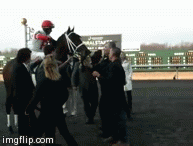 We Miss Artie wears roses in the Spiral! | image tagged in gifs,we miss artie,spiral 2014,kentucky derby 2014 | made w/ Imgflip video-to-gif maker
