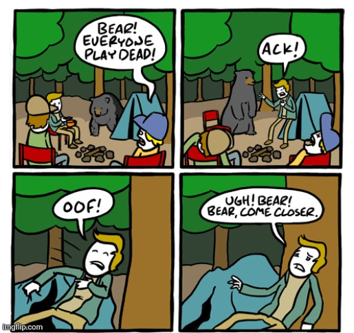 Playing dead | image tagged in camp,bears,bear,comics,play dead,comics/cartoons | made w/ Imgflip meme maker