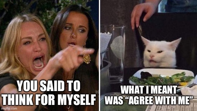 Angry lady cat | YOU SAID TO THINK FOR MYSELF WHAT I MEANT WAS “AGREE WITH ME” | image tagged in angry lady cat | made w/ Imgflip meme maker