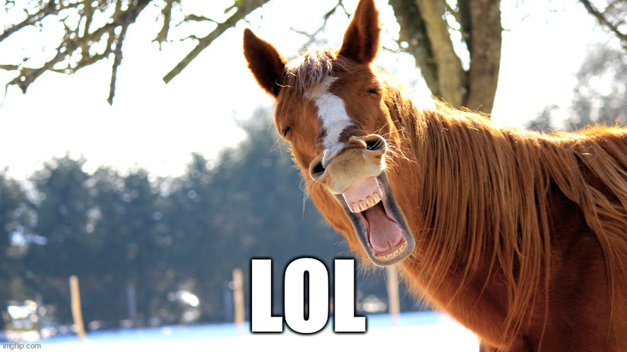 Talking Horse | LOL | image tagged in talking horse | made w/ Imgflip meme maker