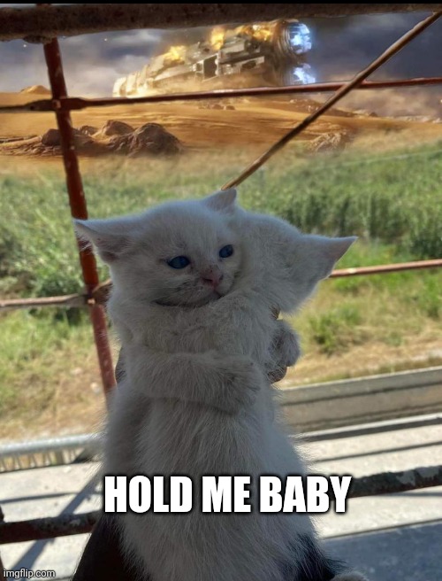 Halo CE | HOLD ME BABY | image tagged in halo,cats,funny | made w/ Imgflip meme maker