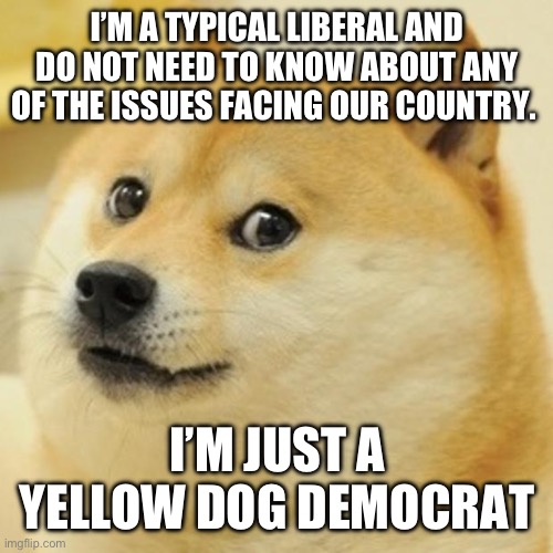 Yellow dog | I’M A TYPICAL LIBERAL AND DO NOT NEED TO KNOW ABOUT ANY OF THE ISSUES FACING OUR COUNTRY. I’M JUST A YELLOW DOG DEMOCRAT | image tagged in yellow dog | made w/ Imgflip meme maker