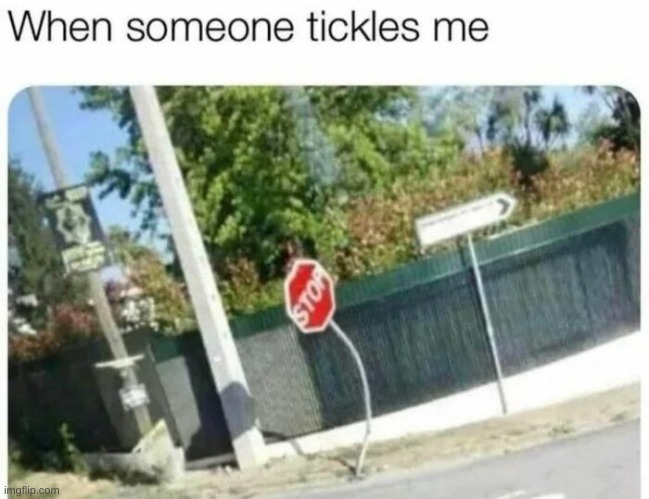 image tagged in memes | made w/ Imgflip meme maker