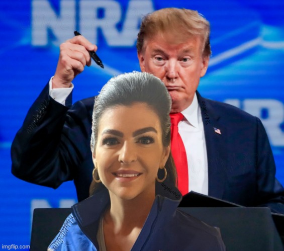 wowbrows | image tagged in trump,casey desantis,florida,maga morons,clown car republicans,sharpie | made w/ Imgflip meme maker