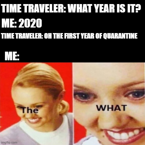 The What | TIME TRAVELER: WHAT YEAR IS IT? ME: 2020; TIME TRAVELER: OH THE FIRST YEAR OF QUARANTINE; ME: | image tagged in the what | made w/ Imgflip meme maker