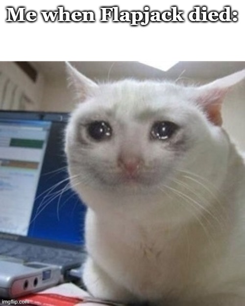 Crying cat | Me when Flapjack died: | image tagged in crying cat | made w/ Imgflip meme maker