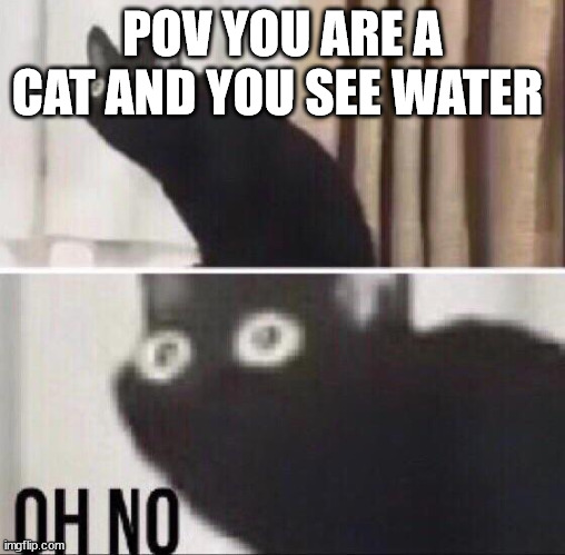 Oh no cat | POV YOU ARE A CAT AND YOU SEE WATER | image tagged in oh no cat | made w/ Imgflip meme maker
