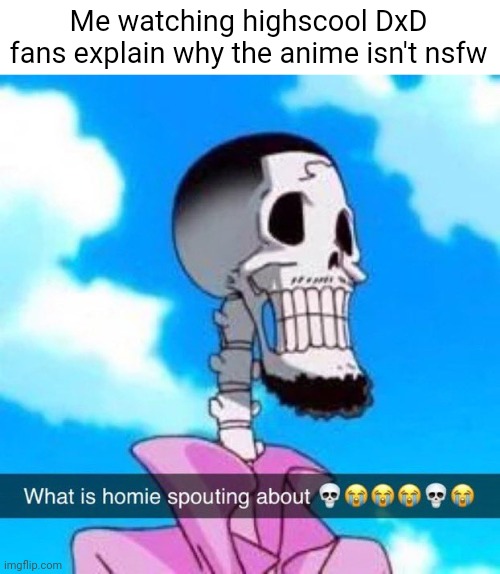 What is homie spouting about | Me watching highscool DxD fans explain why the anime isn't nsfw | image tagged in what is homie spouting about | made w/ Imgflip meme maker