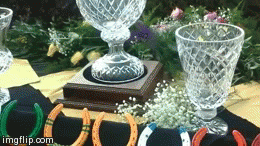 Spiral 2014 Trophis | image tagged in gifs | made w/ Imgflip video-to-gif maker