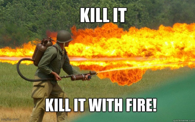 kill it with fire | image tagged in kill it with fire | made w/ Imgflip meme maker