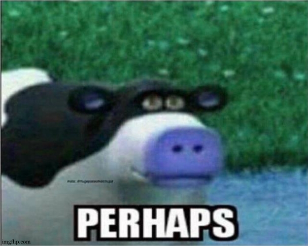 Perhaps Cow | image tagged in perhaps cow | made w/ Imgflip meme maker