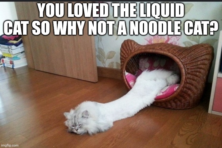 YOU LOVED THE LIQUID CAT SO WHY NOT A NOODLE CAT? | made w/ Imgflip meme maker