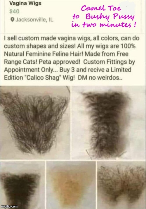 Pussy hair ! | image tagged in wig | made w/ Imgflip meme maker
